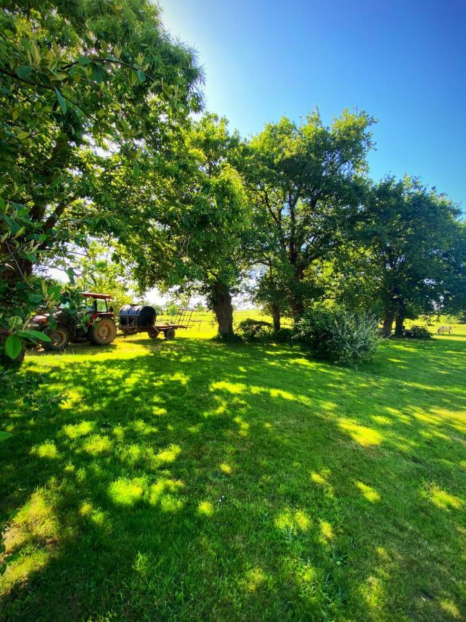 Au Coeur De La Nature Allaire Exteriör bild